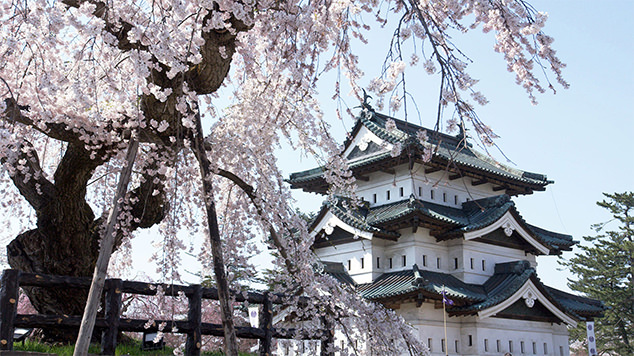 Hirosaki Castle 