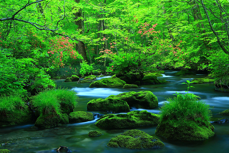 Deep Experiences & Summer Fun in Aomori - SUMMER - WELCOME TO TOHOKU JAPAN