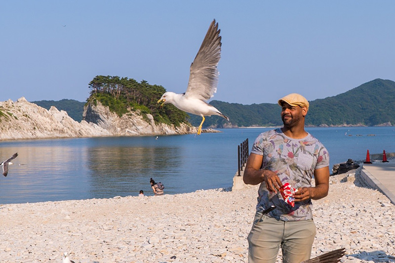 Snap a Shot of Tohoku in Summer - SUMMER - WELCOME TO TOHOKU JAPAN