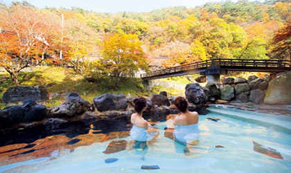 OSAWA HOT SPRING