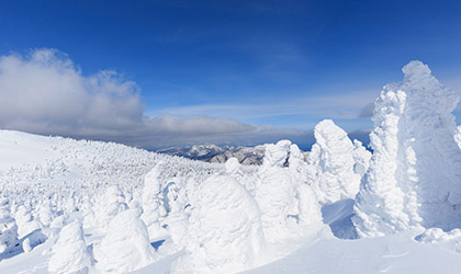 FROST COVERED TREES OF ZAO<br>(SNOW MONSTERS)